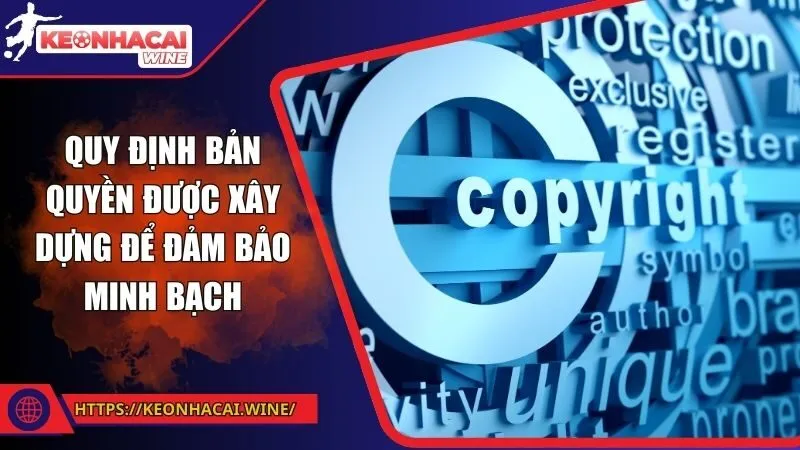 Quy định bản quyền được xây dựng để đảm bảo minh bạch
