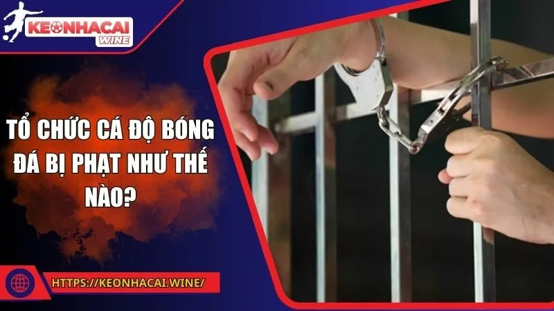 Tổ Chức Cá Độ Bóng Đá Bị Phạt Như Thế Nào? Điều Cần Nắm