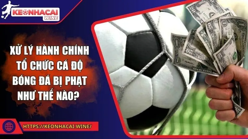 Xử lý hành chính tổ chức cá độ bóng đá bị phạt như thế nào?