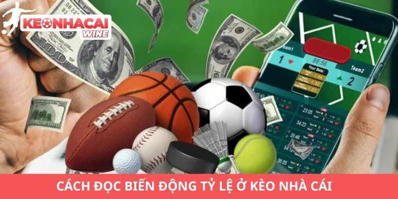 Cách đọc biến động tỷ lệ ở Kèo Nhà Cái